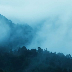 四川西雅高速—泥巴山，拖乌山云雾
